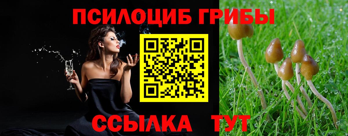 Галлюциногенные грибы Psilocybine cubensis Мытищи
