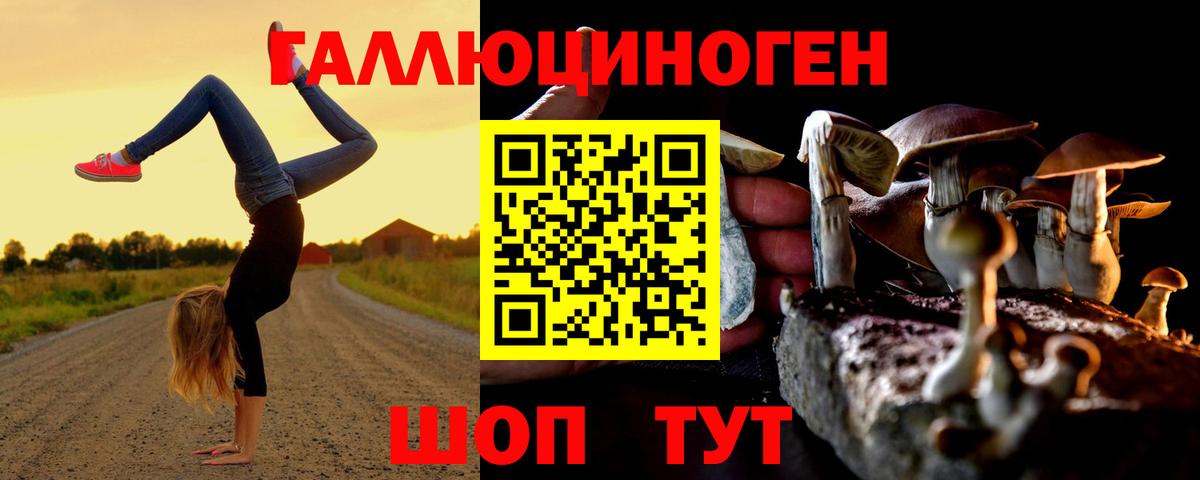 Галлюциногенные грибы Psilocybe  Галлюциногенные грибы Psilocybe  Мытищи  Вход с VPN 